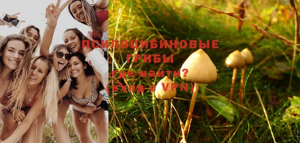 марихуана Дмитриев