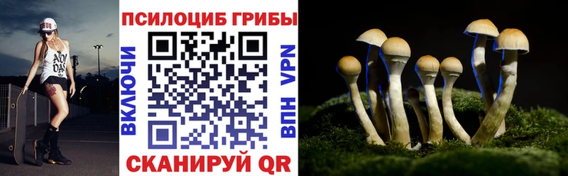 Купить где  Миллерово  Галлюциногенные грибы Cubensis 