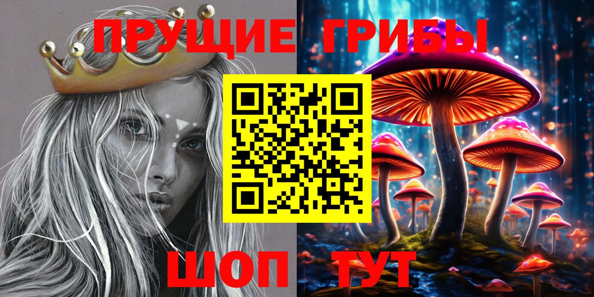 Псилоцибиновые грибы мицелий Миллерово