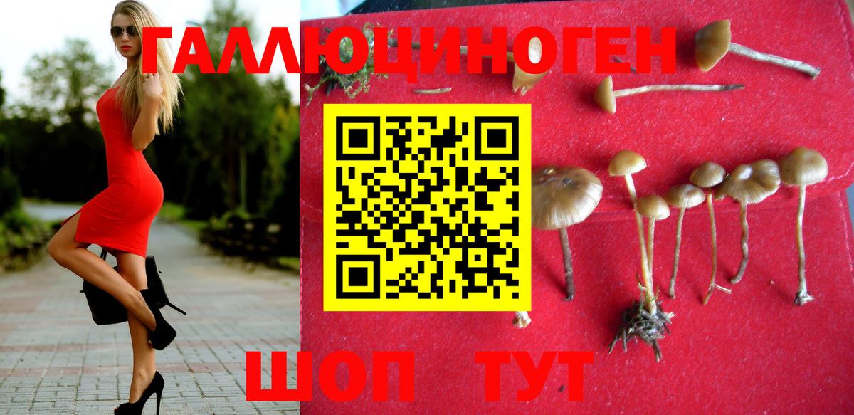 Миллерово  Псилоцибиновые грибы Psilocybine cubensis  Вход с VPN 