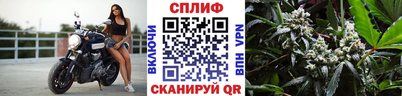 Марихуана марихуана  Купить закладки  Миллерово 
